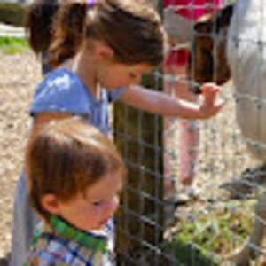 Meet your Posher, Hillary